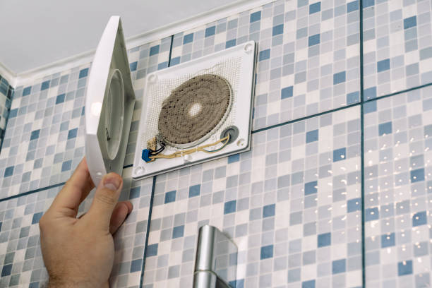 Best Ductwork Cleaning Services  in Orlovista, FL