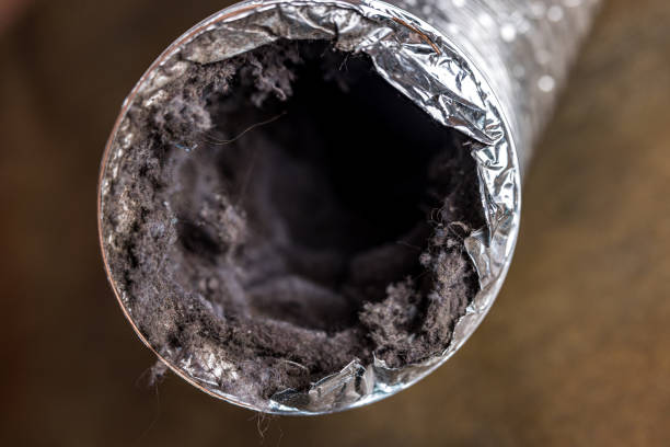 Best Professional Duct Cleaning Services  in Orlovista, FL