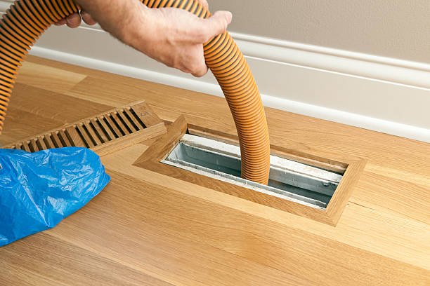 Best Local Air Duct Cleaning Services  in Orlovista, FL